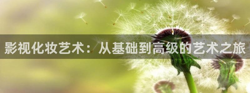 庐江方圆荟大地影院：影视化妆艺术：从基础到高级的艺术之旅
