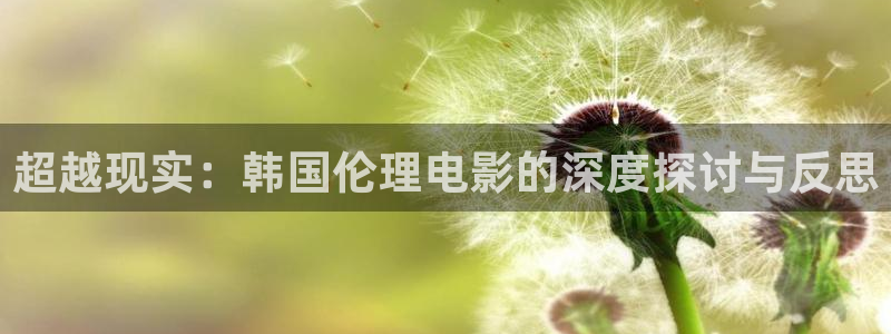 大地影院电影：超越现实：韩国伦理电影的深度探讨与反思