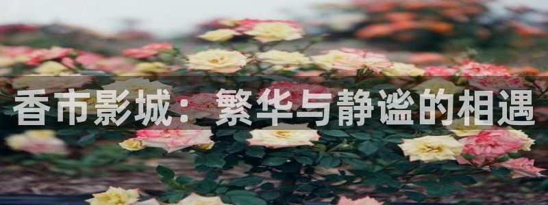 大地电影在线观看免费版：香市影城：繁华与静谧的相遇