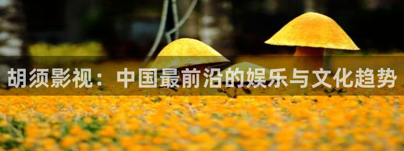 大地高清在线电影：胡须影视：中国最前沿的娱乐与文化趋势