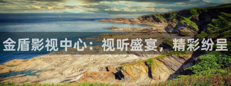 大地在线视频免费观看韩国电影：金盾影视中心：视听盛宴，精彩纷呈