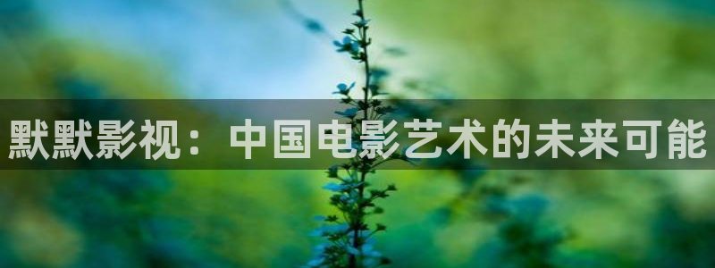 大地影视资源第二页