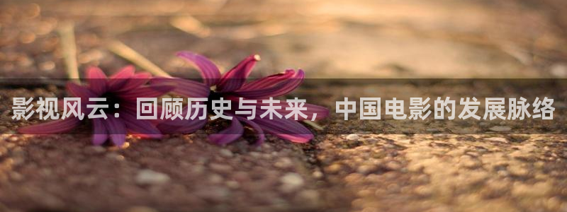 大地影院在线观看视频